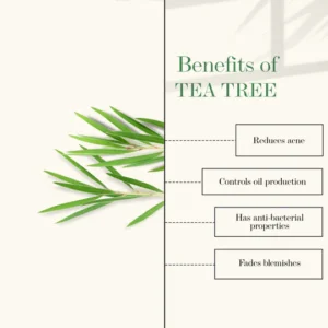 Good Vibes Tea Tree & Papaya Oil Control Face Serum – Acne & Blemish Reduction – 30ml
