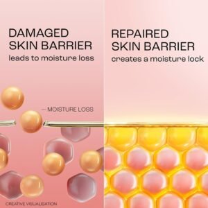 Lakme Peach Milk Soft Crème Moisturizer – Lightweight, Vitamin E Face Cream – 200g